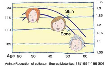 Collagen decreases by aging