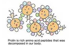  Resolved and absorbed amino acids