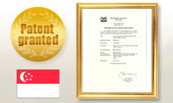 Singapore patent